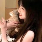 QQ头像