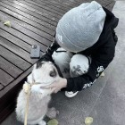 QQ头像