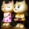 山西网友81613