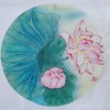 树雨世草包9