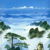 河南网友97741