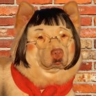 QQ头像