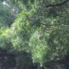 黑龙江网友45773