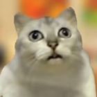 QQ头像