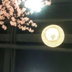 QQ头像