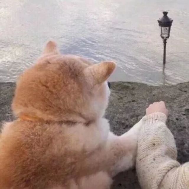 QQ邮箱头像