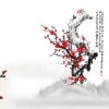 山西网友59519