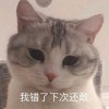 广东网友75929