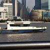 上海网友61294