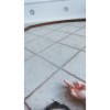 甘肃网友22645