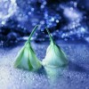 云南网友89217
