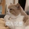 评论头像