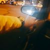 广西网友41433