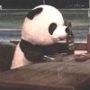 lllzzzhhh的头像-无忧免费游戏网