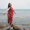 河南网友53166