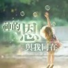湖南网友14434