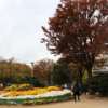 北京网友51206