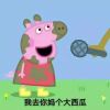 海南网友42512