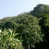 湖南网友99567
