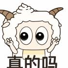 QQ头像