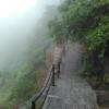 雨9好丽雨#
