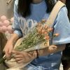 甘肃网友11476