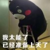 辽宁网友86947