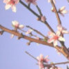 新疆网友83432