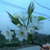 浙江网友76289