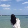 台湾网友17368