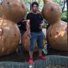 上海网友71317