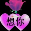 辽宁网友69377