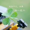 海南网友19508