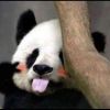 广西网友74684