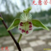 湖南网友21180