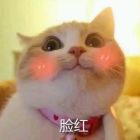 QQ头像
