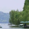 台湾网友30142