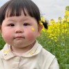 新疆网友97738
