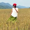 重庆网友91594