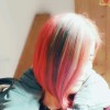 福建网友22990