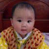 山东网友72612