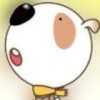 湖北网友75576
