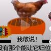 重庆网友42070