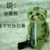 上海网友33134