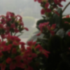 网友昵称：雨晴