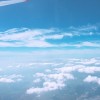 山东网友69236