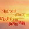 福建网友54497