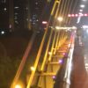 广西网友39396