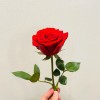 宁夏网友25678