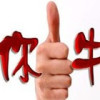 北京网友14262